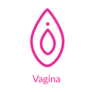 Vagina